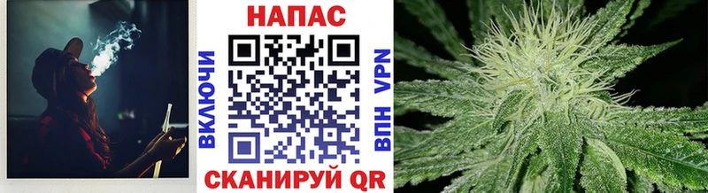 Купить  Кинель  МАРИХУАНА VHQ 